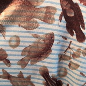 NWOT Lularoe Randy Fish Print Baseball T Shirt